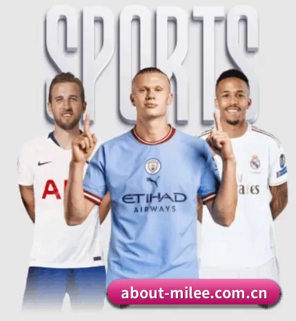 about-milee.com.cn的方向